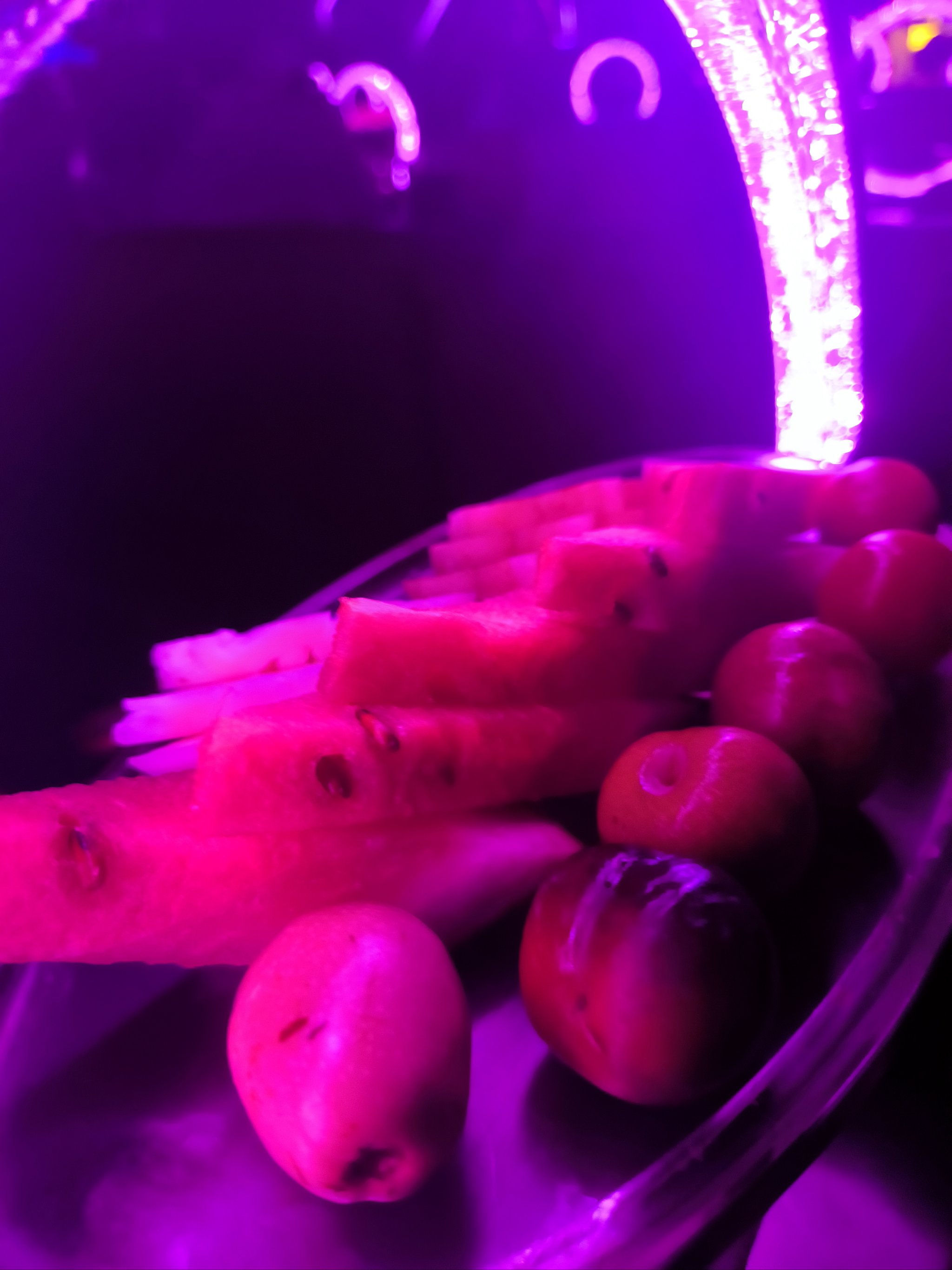 沧州商务KTV新玩法-任丘市ktv预订